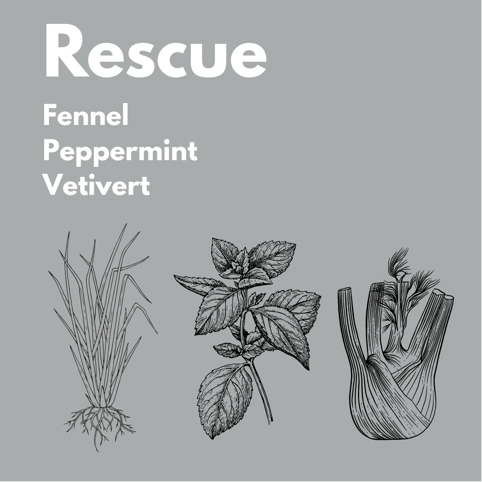 Rescue